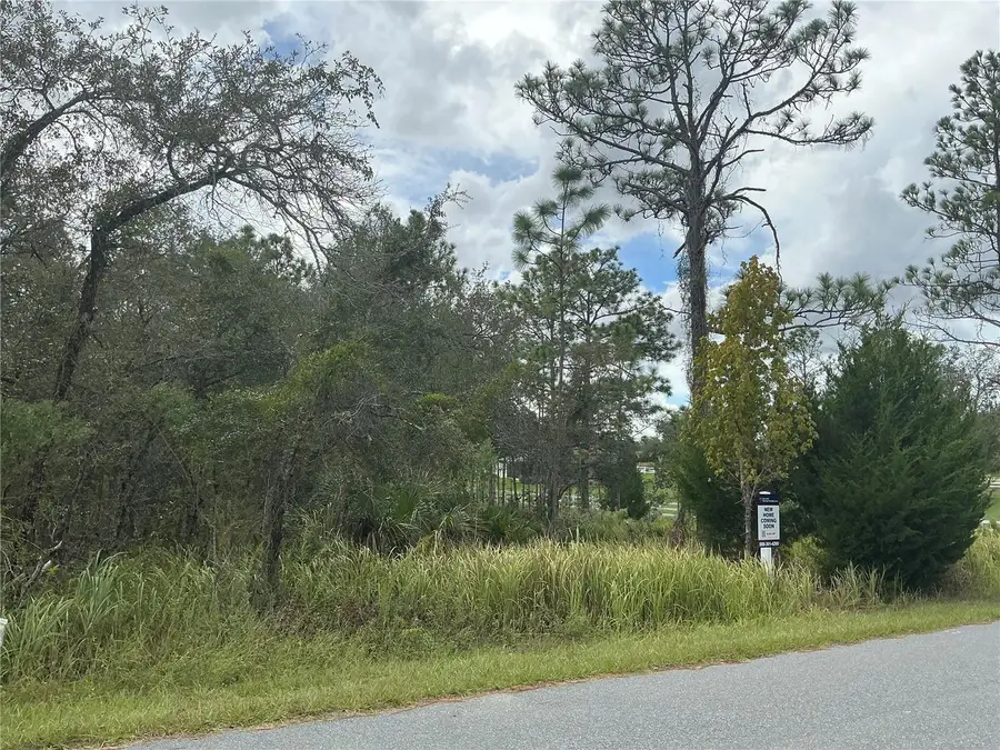 11434 Poorwill Avenue, Brooksville, FL 34614 - Image #3