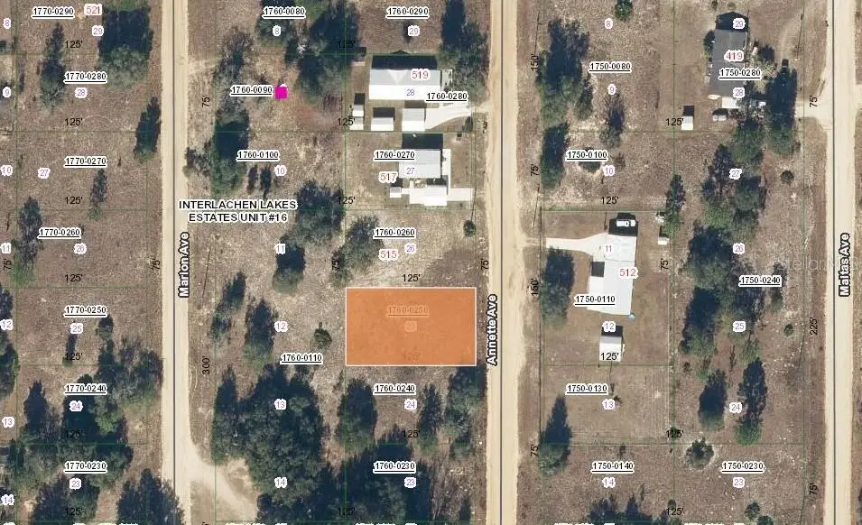 513 Annette Avenue, Interlachen, FL 32148 - #1