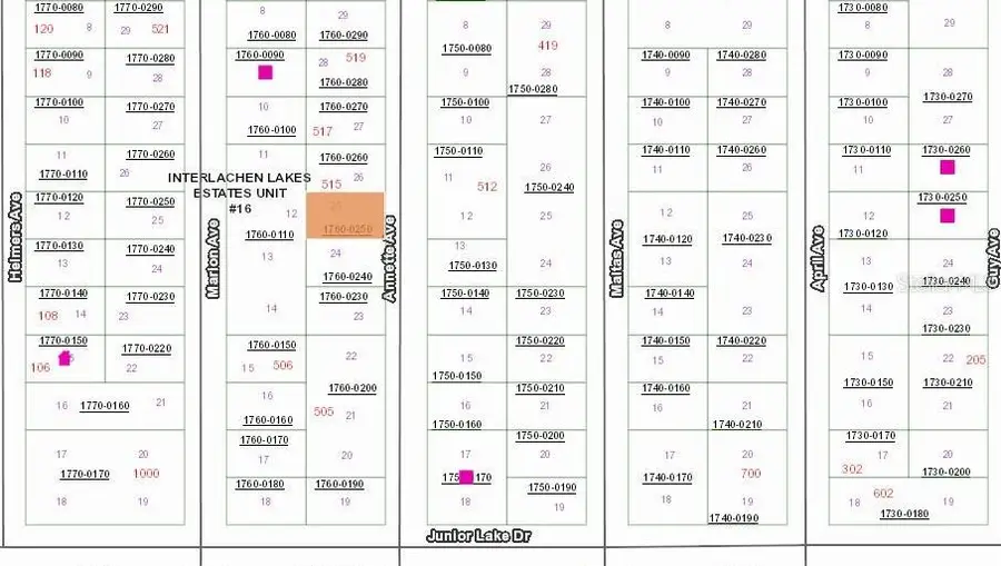 513 Annette Avenue, Interlachen, FL 32148 - #2