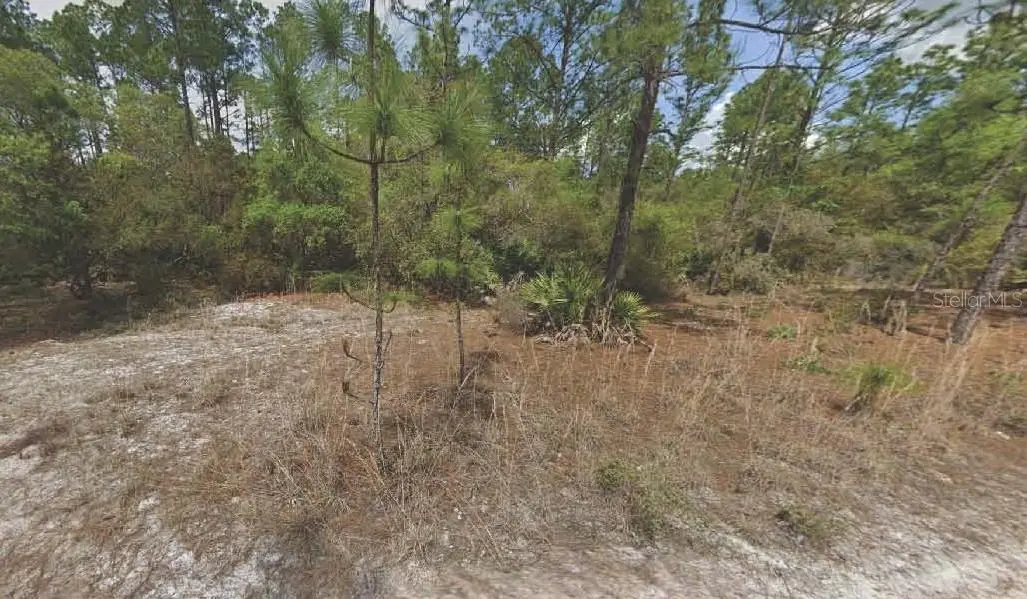 158 Ferncreek Drive, Georgetown, FL 32139 - Image #1