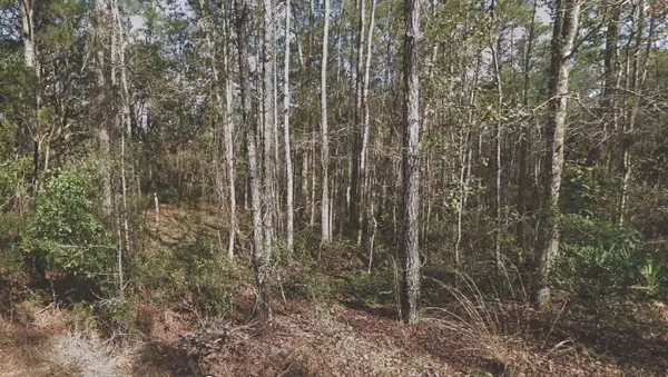 130 SE 5th Street, PALATKA, FL 32177