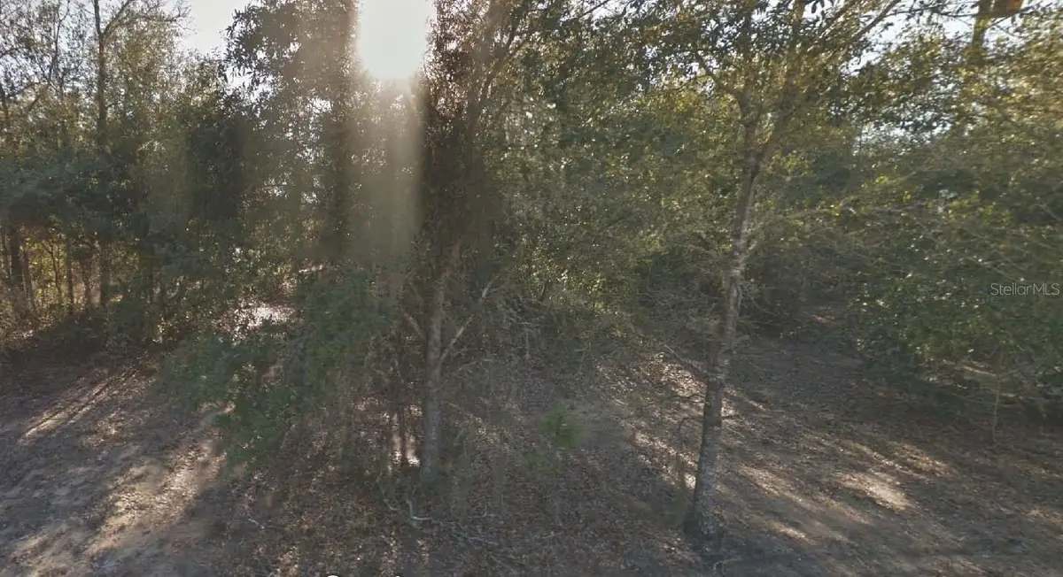 304 California Avenue, Interlachen, FL 32148 - Image #1