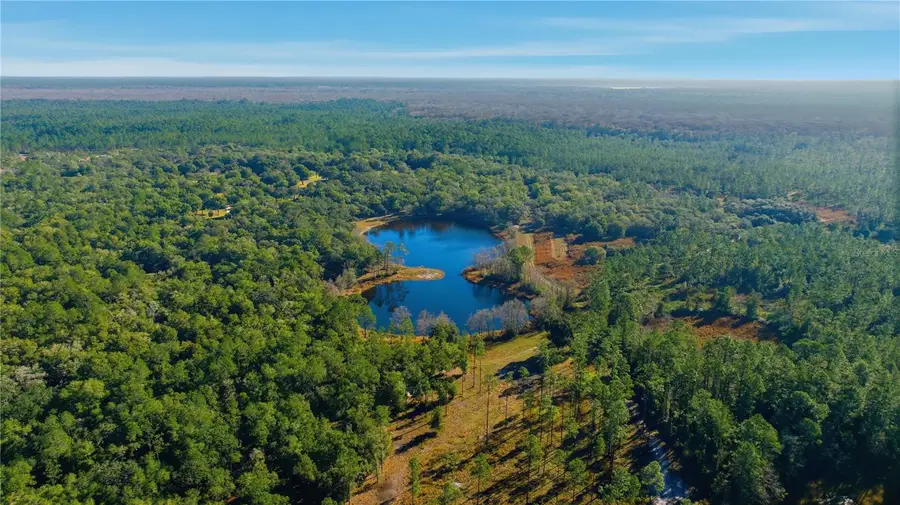 TBD (Lot 5) NE 115th Lane Road, Fort McCoy, FL 32134 - #2