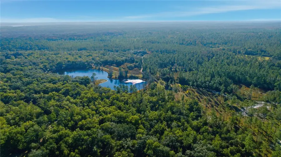 TBD (Lot 6) NE 115th Lane Road, Fort McCoy, FL 32134 - #2