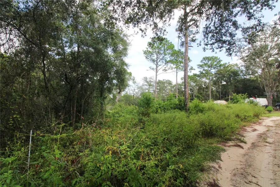TBD SE 10th Street, Silver Springs, FL 34488 - Image #2