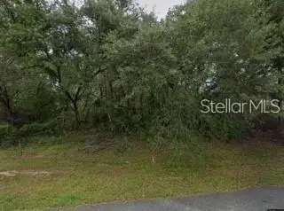 16593 SW 31st Circle, OCALA, FL 34473