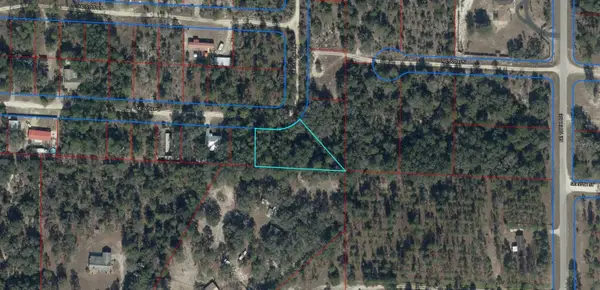 0 NE 50th Place, WILLISTON, FL 32696