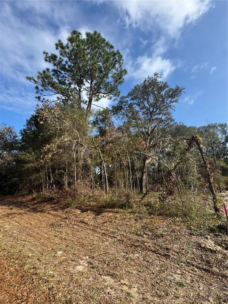 Locust Radial, Ocala, FL 34472 - Image #1