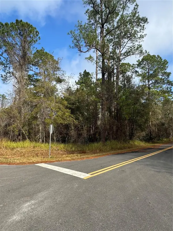 Locust Road, OCALA, FL 34472