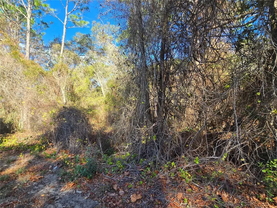 3257 E Kennedy Street, Inverness, FL 34453 - #2