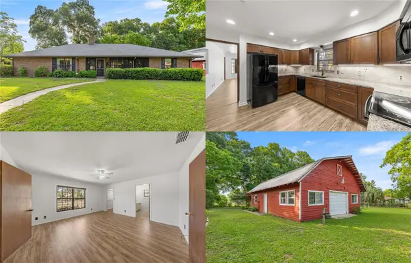 6497 W Anthony Road, OCALA, FL 34479