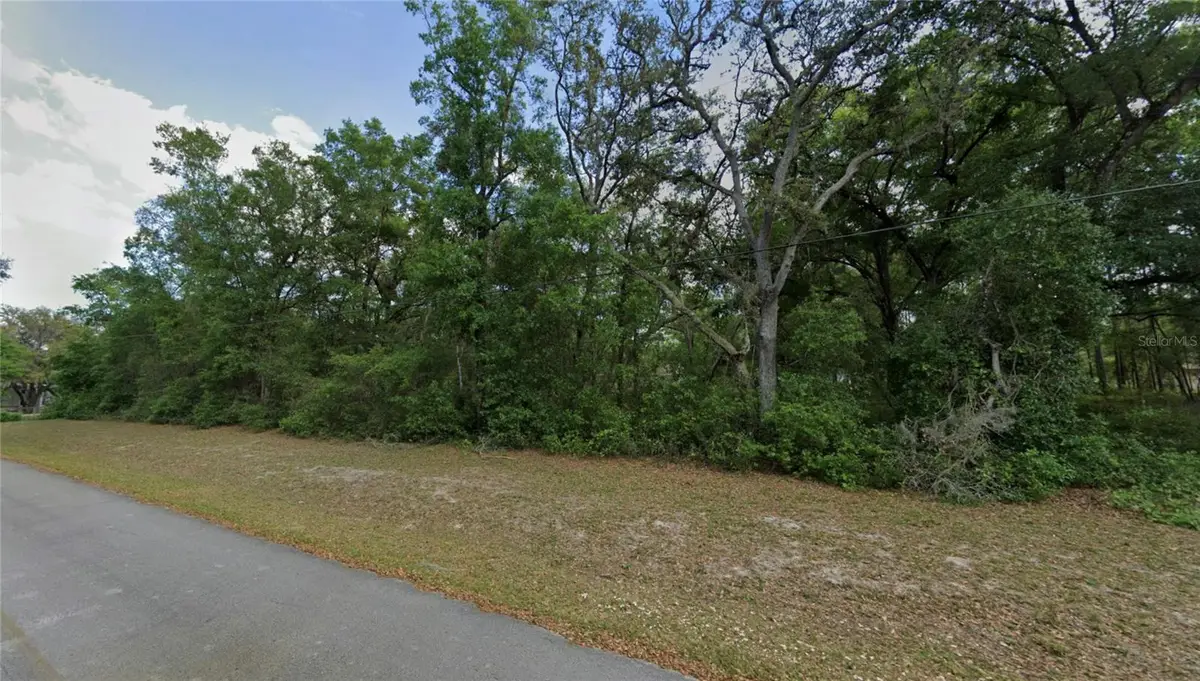 TBD SE 59th Street, Ocklawaha, FL 32179 - #1