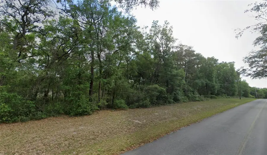 TBD SE 59th Street, Ocklawaha, FL 32179 - #2
