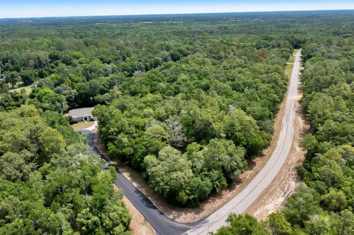 10233 N Athenia Drive, Citrus Springs, FL 34434 - Image #1