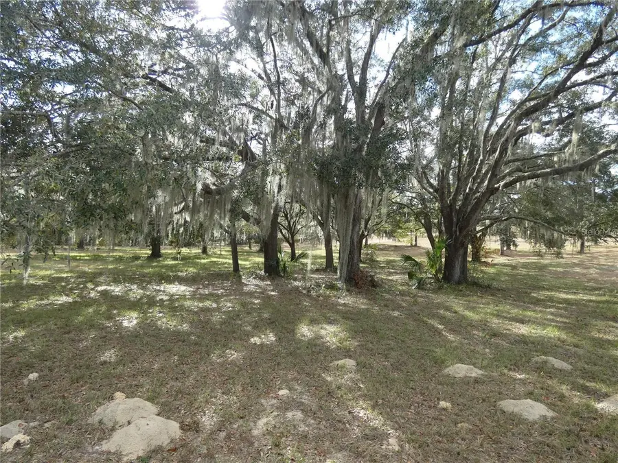 10887 N Circle M Avenue, Dunnellon, FL 34433 - Image #3