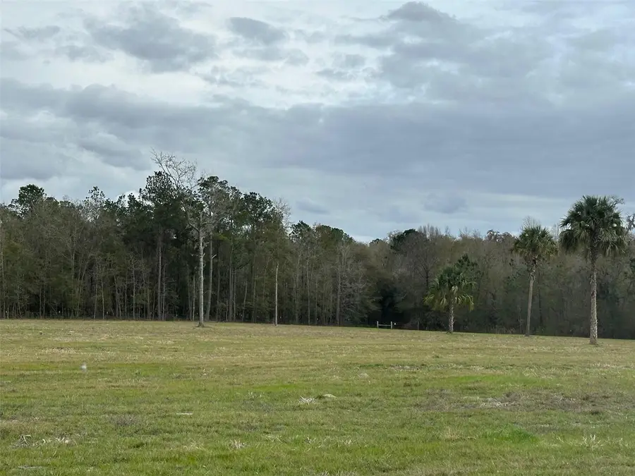 TBD Nw 160th Street, Reddick, FL 32686 - Image #3
