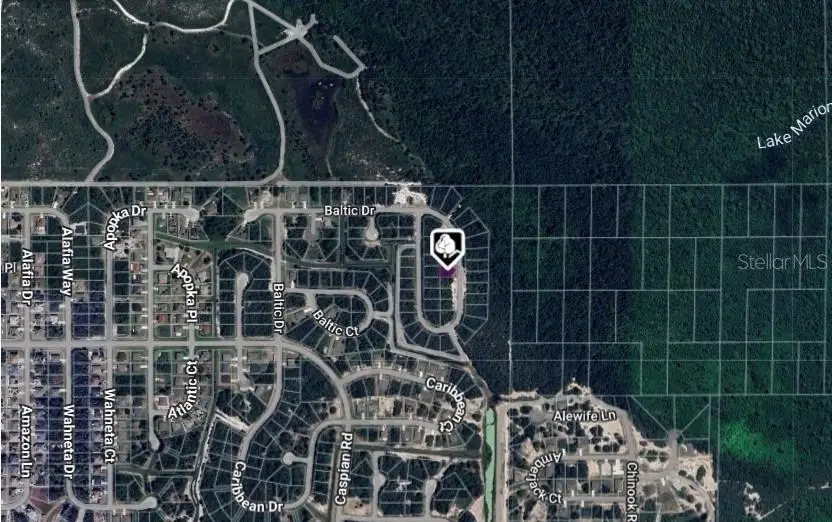1238 Baltic Drive, Poinciana, FL 34759 - Image #2