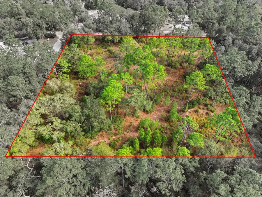 000 SW 151st Street, Dunnellon, FL 34432 - Image #3