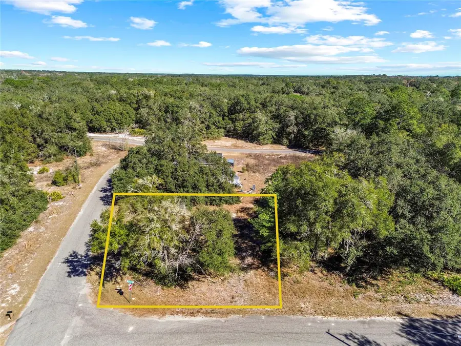 0 Guava Terrace Place & Bay Place Run, Ocklawaha, FL 32179 - Image #2