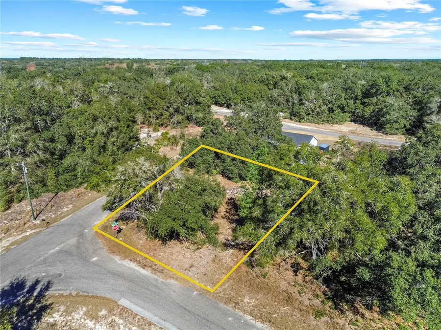 0 Guava Terrace Place & Bay Place Run, Ocklawaha, FL 32179 - Image #3