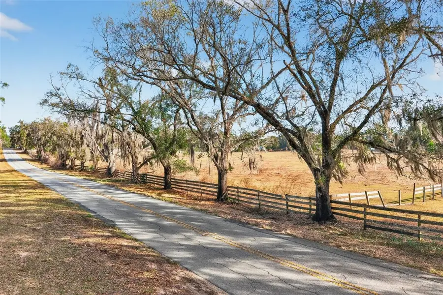 8989 S Great Oaks Drive, Floral City, FL 34436 - Image #3