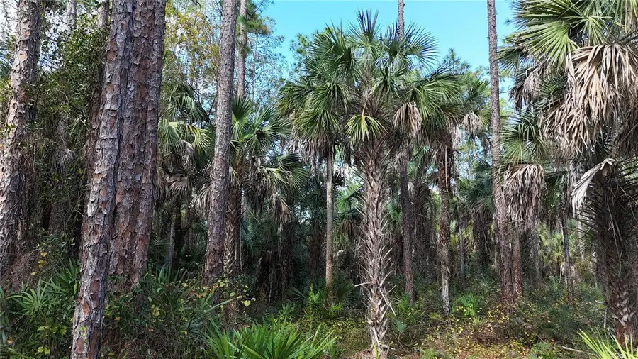 16th Ave Se, Naples, FL 34117 - #2