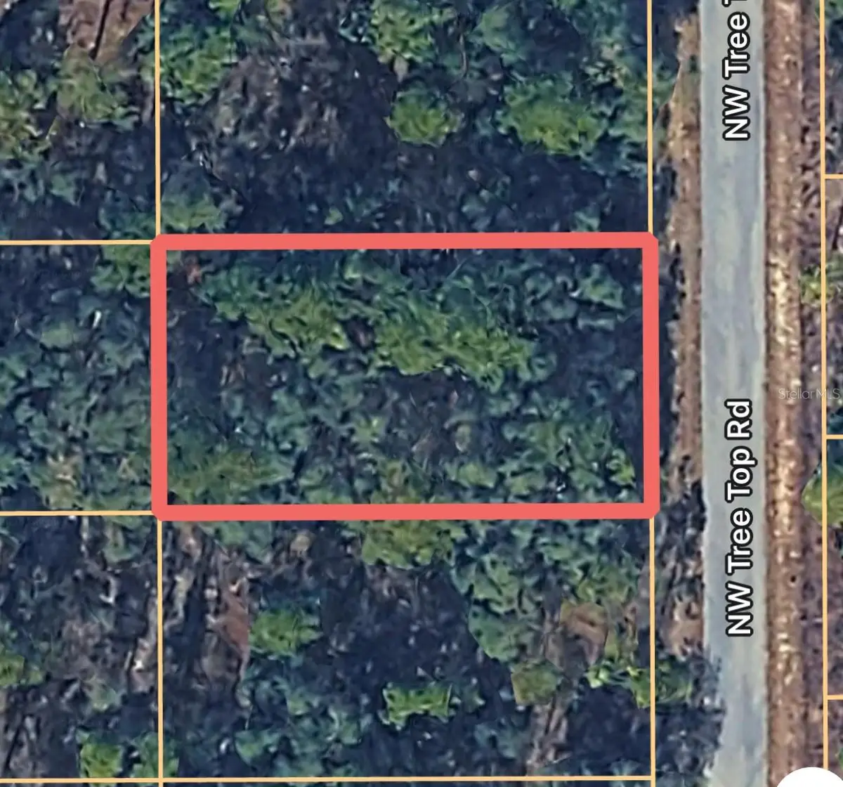 0000 NW Treetop Road #007, Dunnellon, FL 34431 - #1