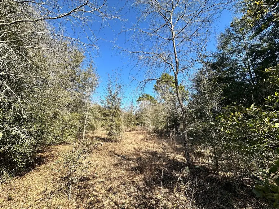 TBD NE Ne 85th Avenue, Bronson, FL 32621 - #3