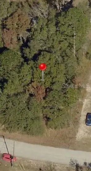 TBD N Pine Radial Road N #16, OCALA, FL 34472