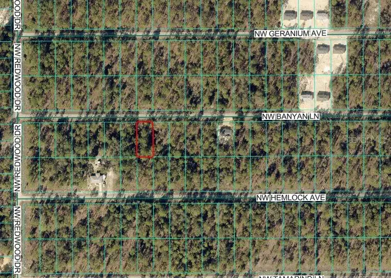 Nw Banyan Ln, Dunnellon, FL 34431 - Image #2
