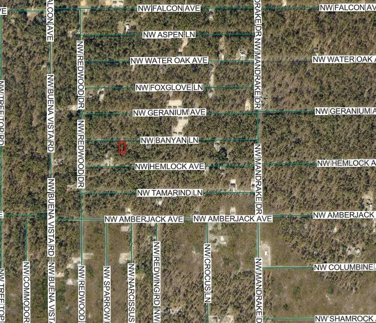 Nw Banyan Ln, Dunnellon, FL 34431 - Image #3