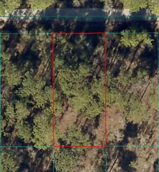 24394 NW Water Oak Avenue, Dunnellon, FL 34431 - Image #1
