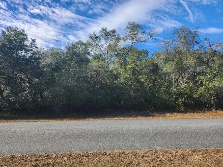 TBD SW 29 Terrace Road, Ocala, FL 34473 - Image #3