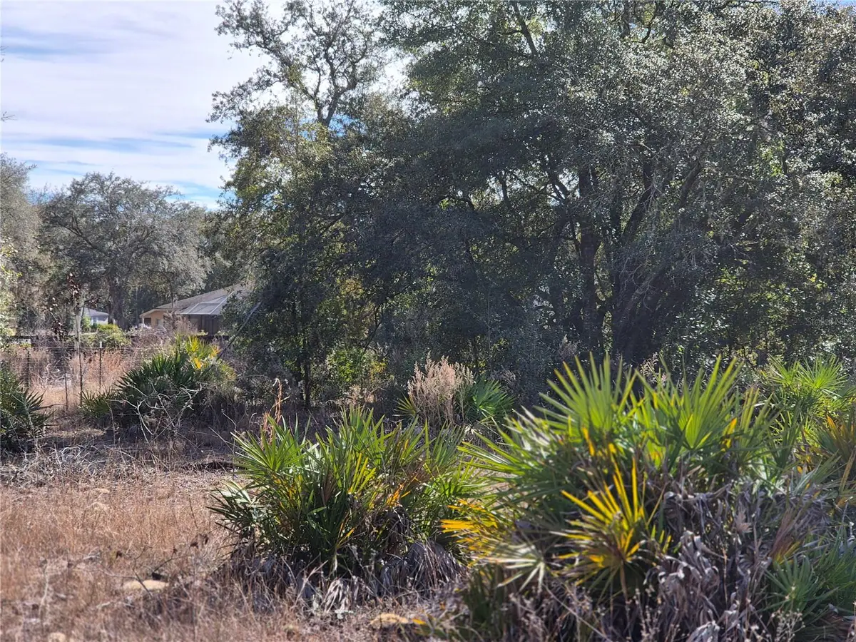 00 NE 78th Lane, Bronson, FL 32621 - Image #1