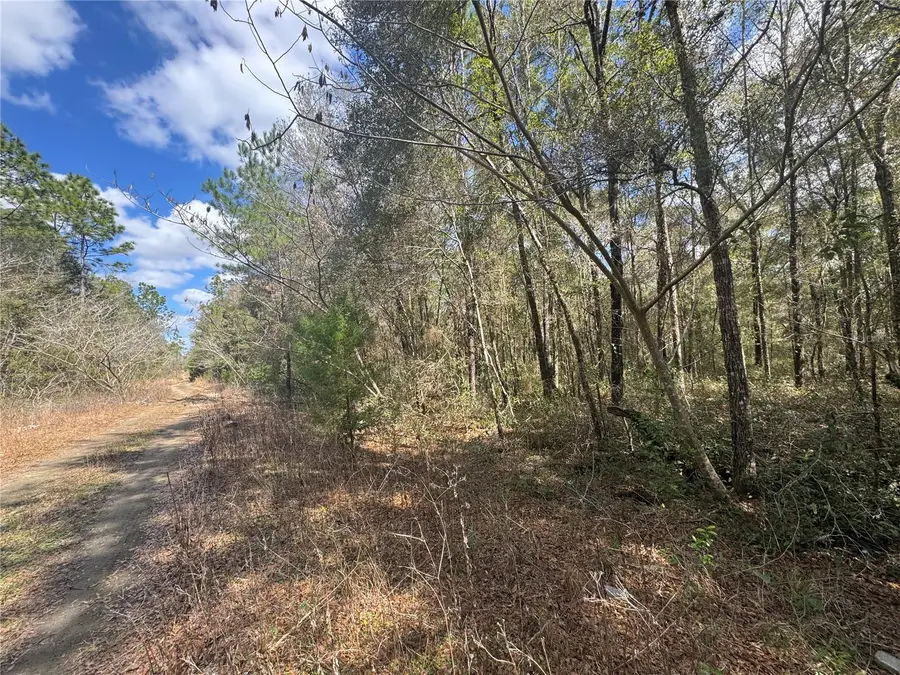 0000 NE 154th Avenue, Williston, FL 32696 - #3