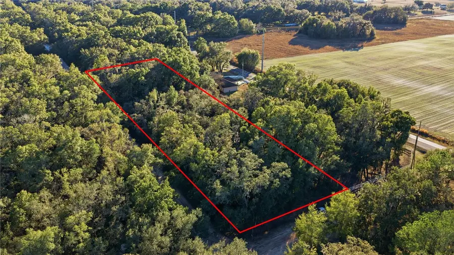 SW 139th Court, Dunnellon, FL 34432 - Image #2