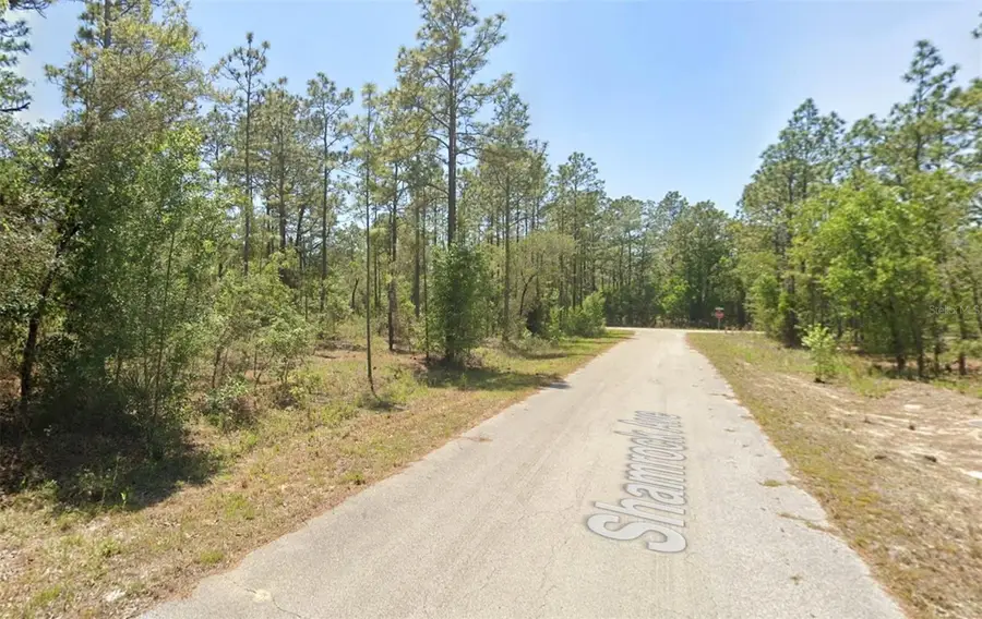 00 NW Shamrock Avenue, Dunnellon, FL 34431 - Image #2