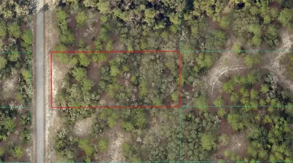 TBD SW Breezy Point Drive, DUNNELLON, FL 34431