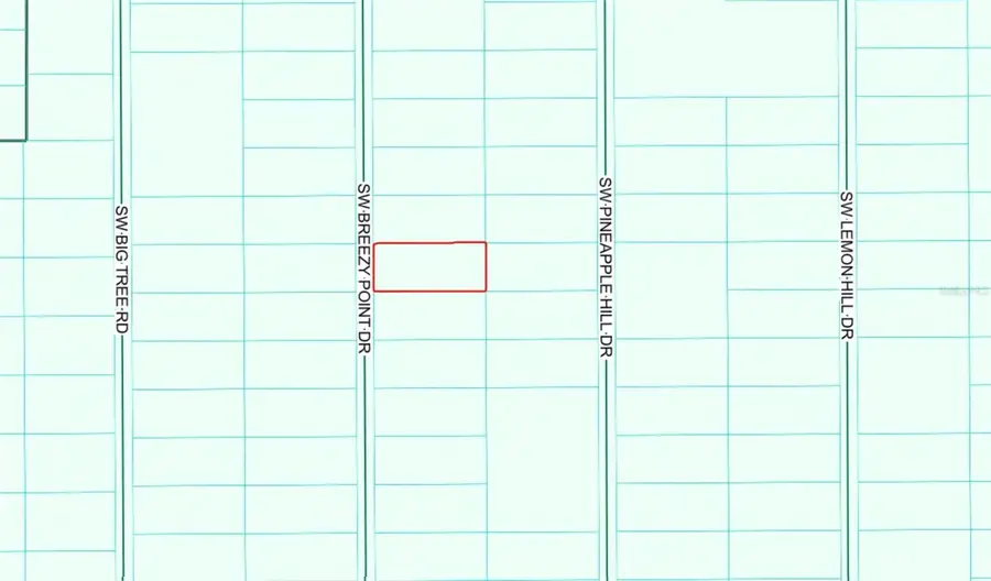 TBD SW Breezy Point Drive, Dunnellon, FL 34431 - Image #3