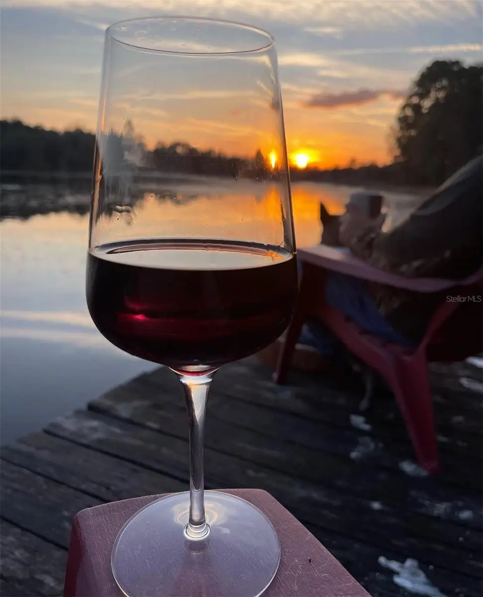 14730 SE 61st Street Road, Ocklawaha, FL 32179 - Image #1