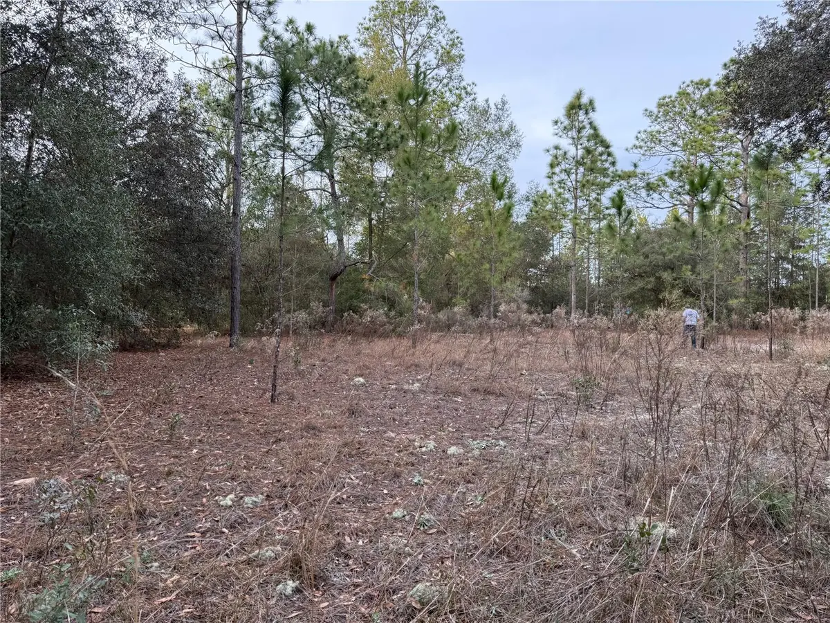 TBD SE Audubon Avenue, Dunnellon, FL 34431 - Image #1