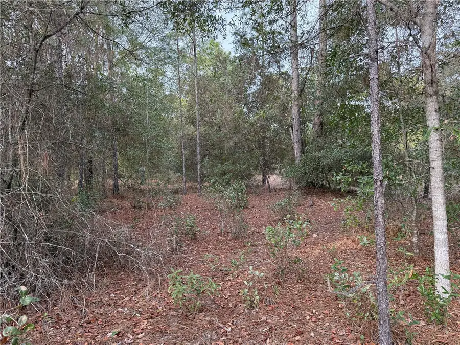 TBD SE Audubon Avenue, Dunnellon, FL 34431 - Image #2