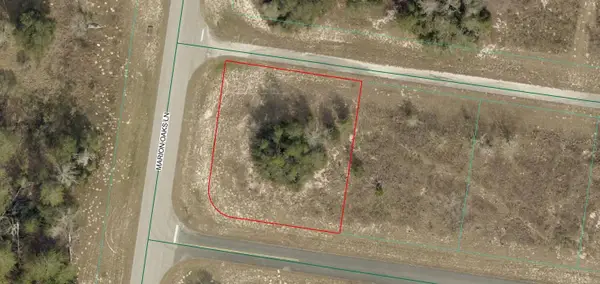 TBD SW 164th Place #Rd, OCALA, FL 34473