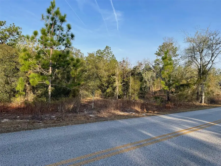 LOT 11 SW Half Moon Drive, Dunnellon, FL 34431 - #2