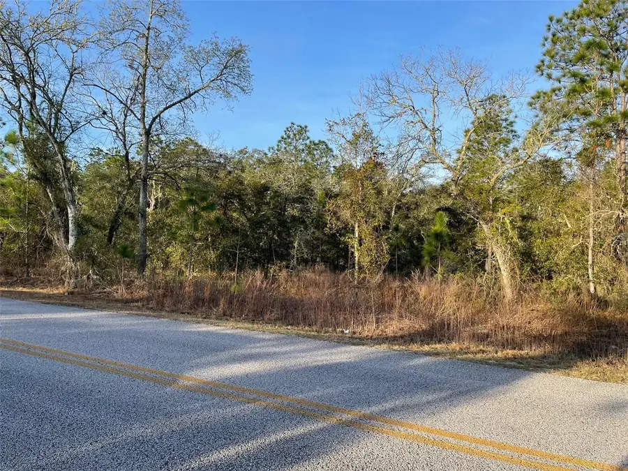 LOT 11 SW Half Moon Drive, Dunnellon, FL 34431 - #3