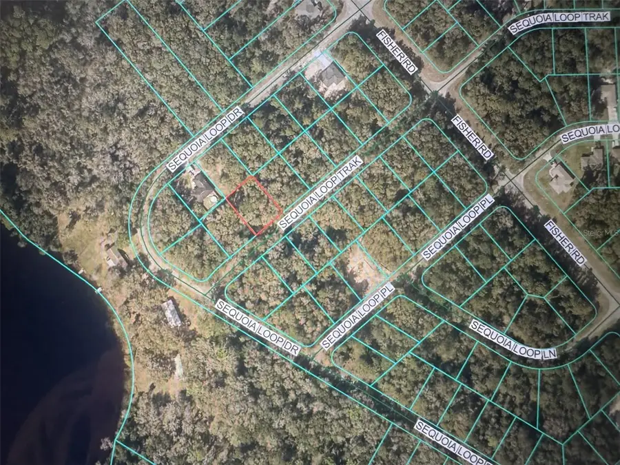 Sequoia Loop Track, Ocklawaha, FL 32179 - Image #2