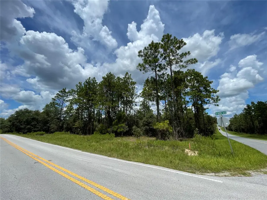 00 SW Marine Boulevard, Dunnellon, FL 34431 - #3