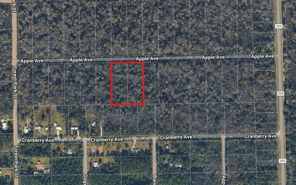 3767 & 3739 Apple Avenue, BUNNELL, FL 32110