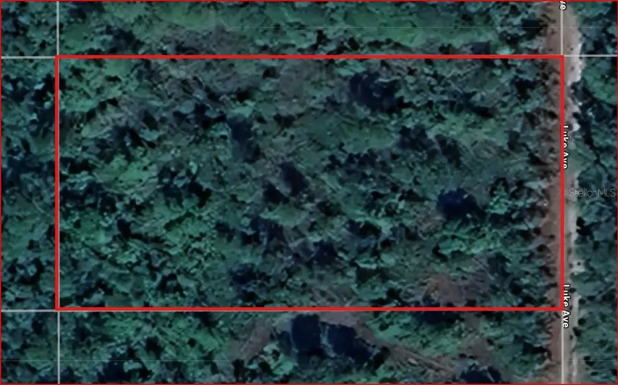 Lot 1069 Luke Avenue, Hastings, FL 32145 - #2