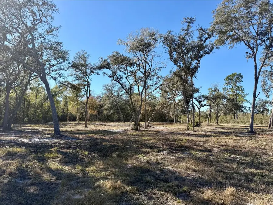 TBD NE 220 Street, Fort McCoy Anthony, FL 32134 - #3